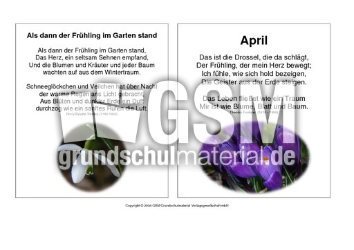 Vorlagen-Frühlings-Tütengedichte-Fotos-1-13.pdf